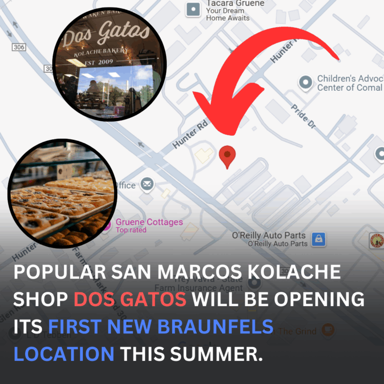 dos gatos new braunfels
