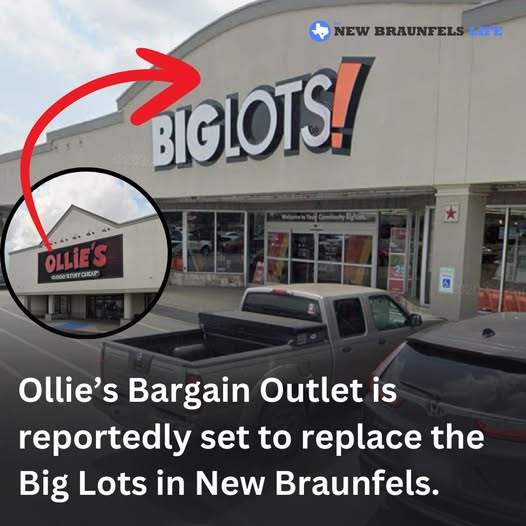 ollies new braunfels