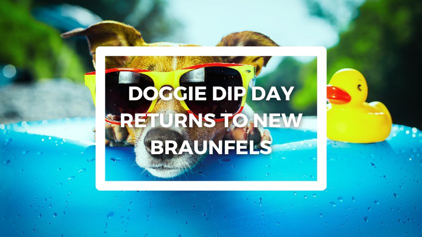 doggie dip day new braunfels