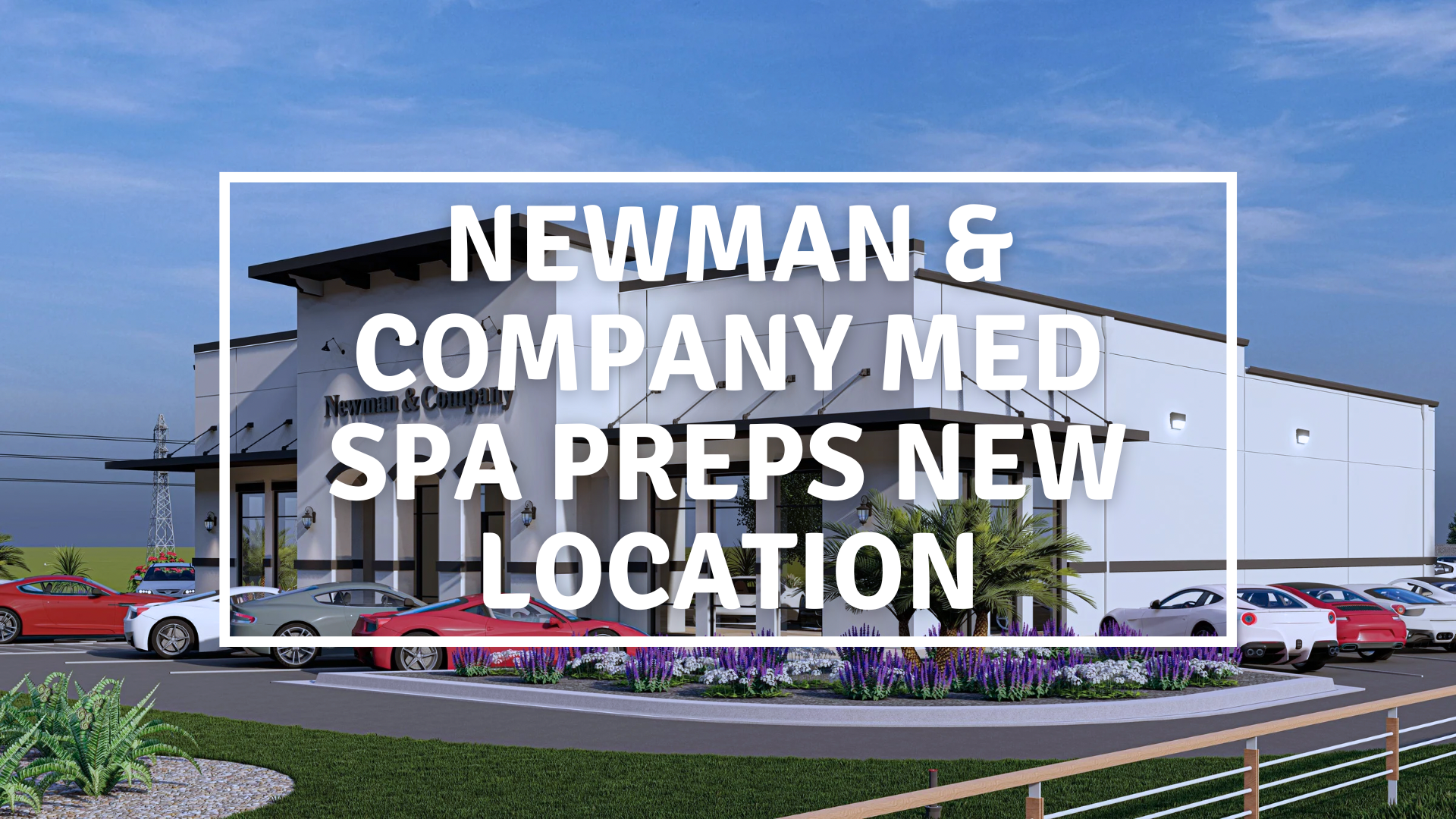 newman & company new location