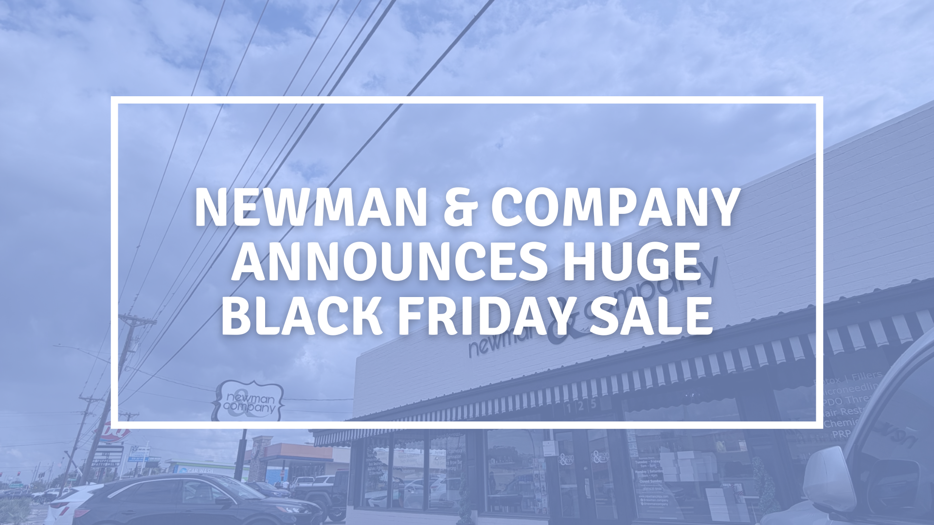 newman company black friday
