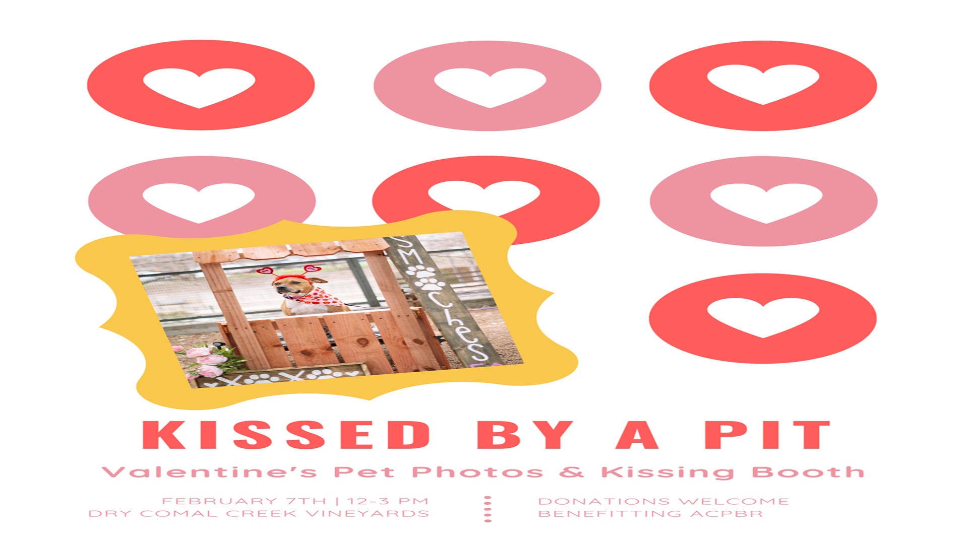 Kissed by a Pit at Dry Comal Creek Vineyards