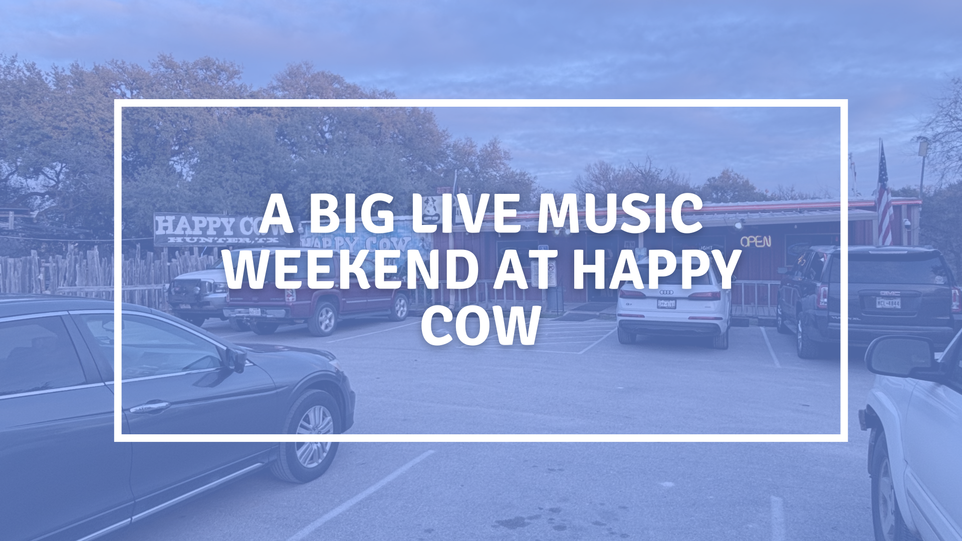 live music at happy cow