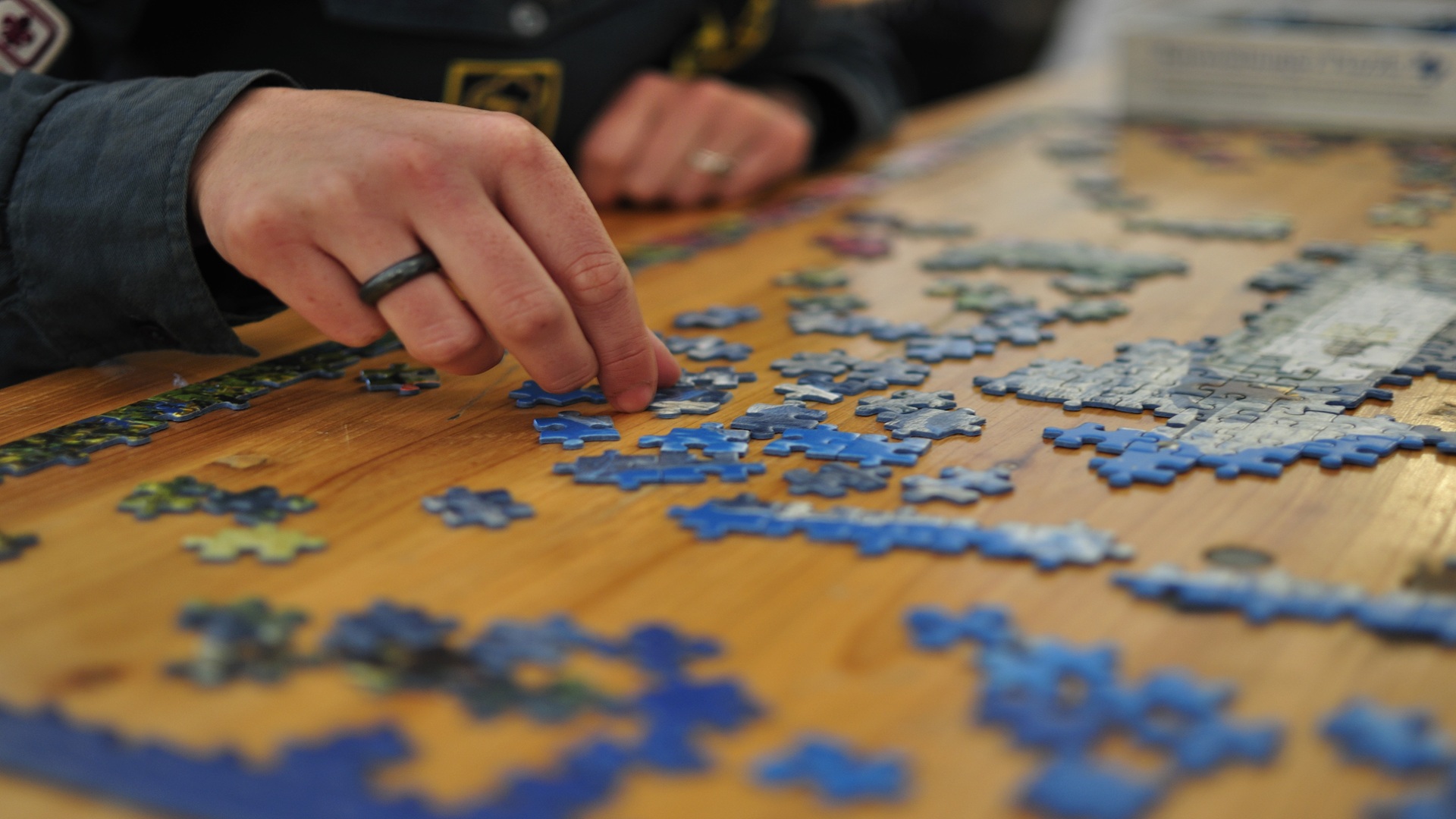 Arc of the Hill Country: Puzzle Swap at New Braunfels Public Library