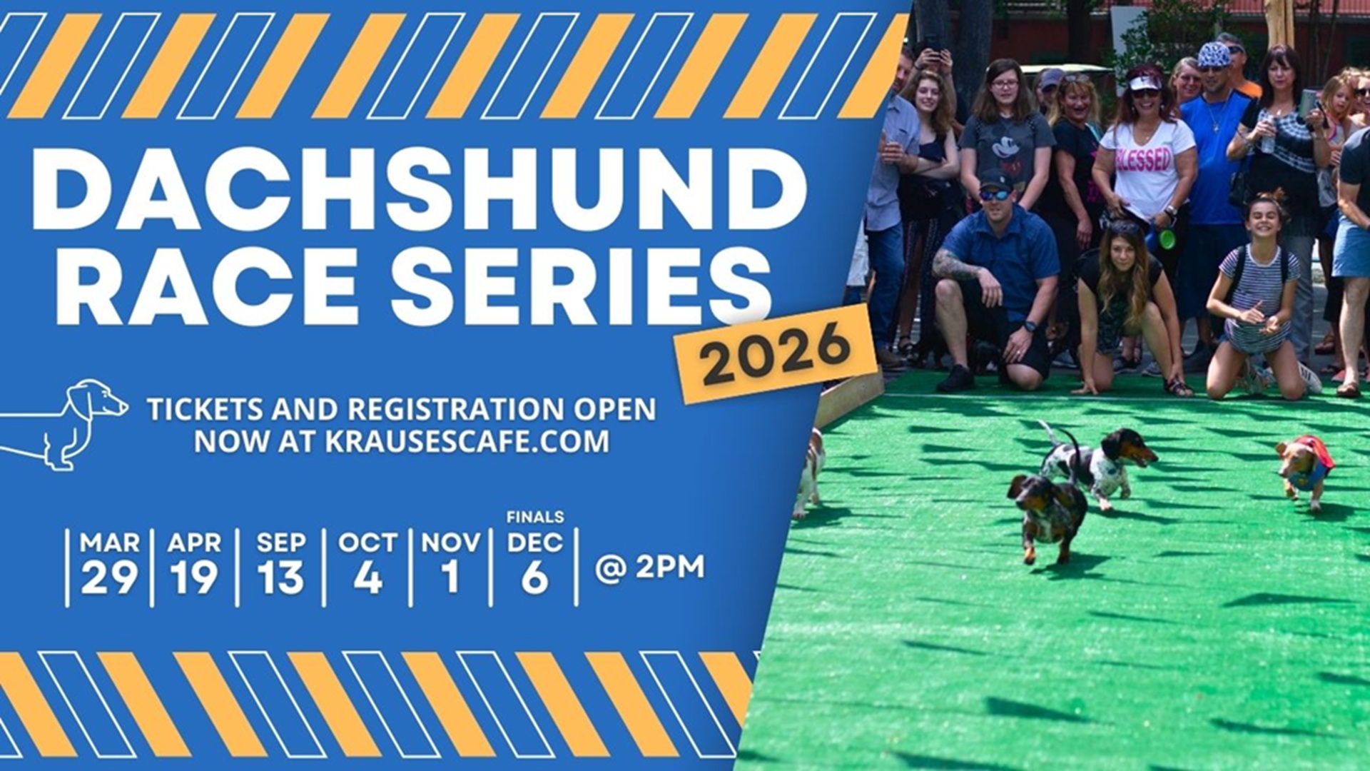 Dachshund Races at Krause’s Cafe