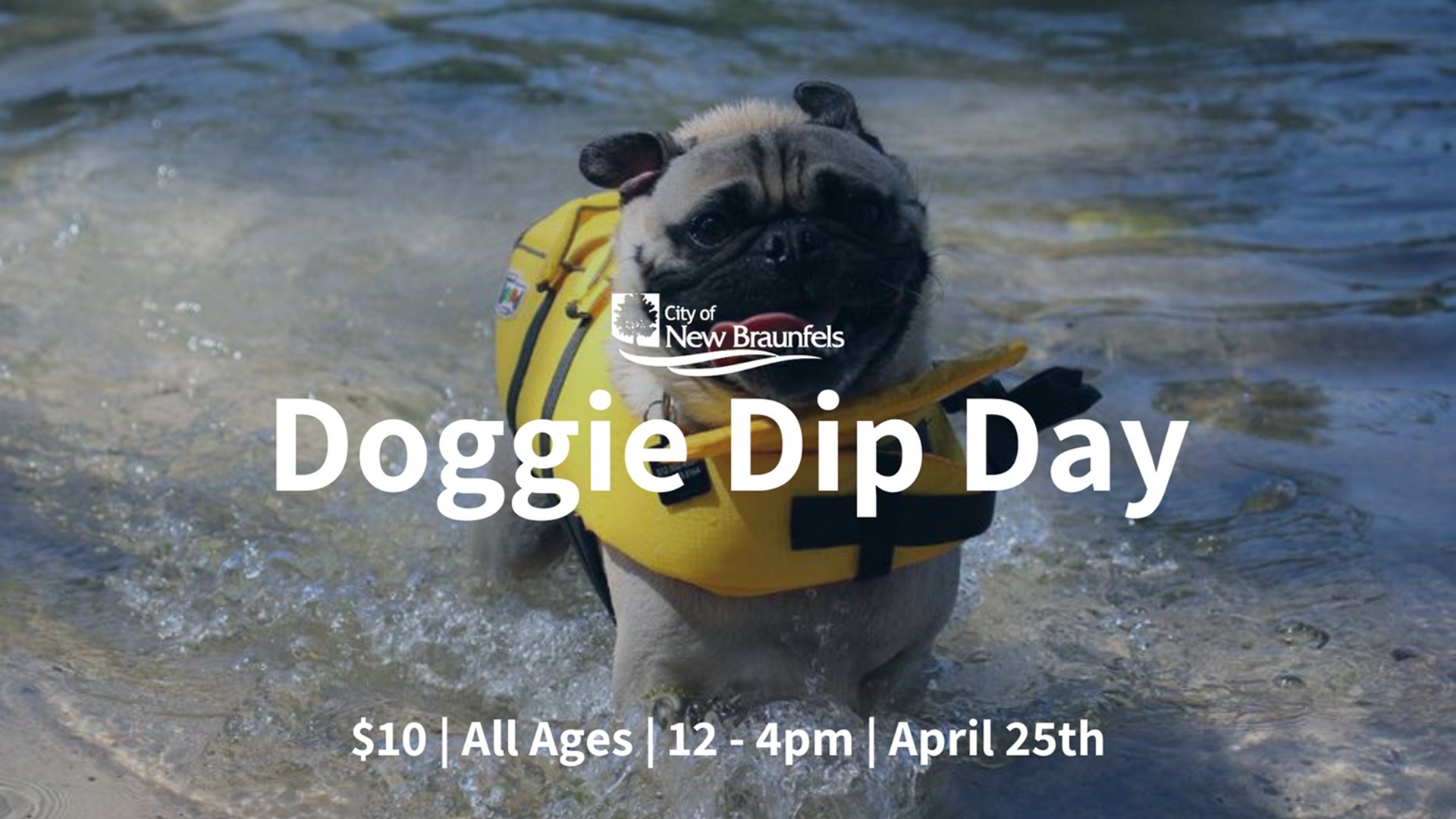 Doggie Dip Day at Landa Park Aquatic Complex