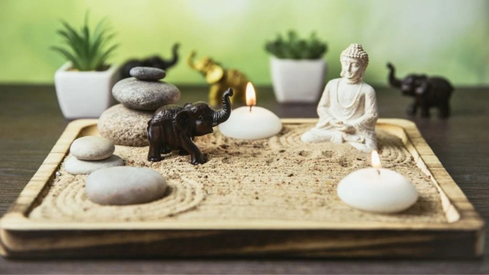 DIY After Dark - Mini Zen Garden at New Braunfels Public Library
