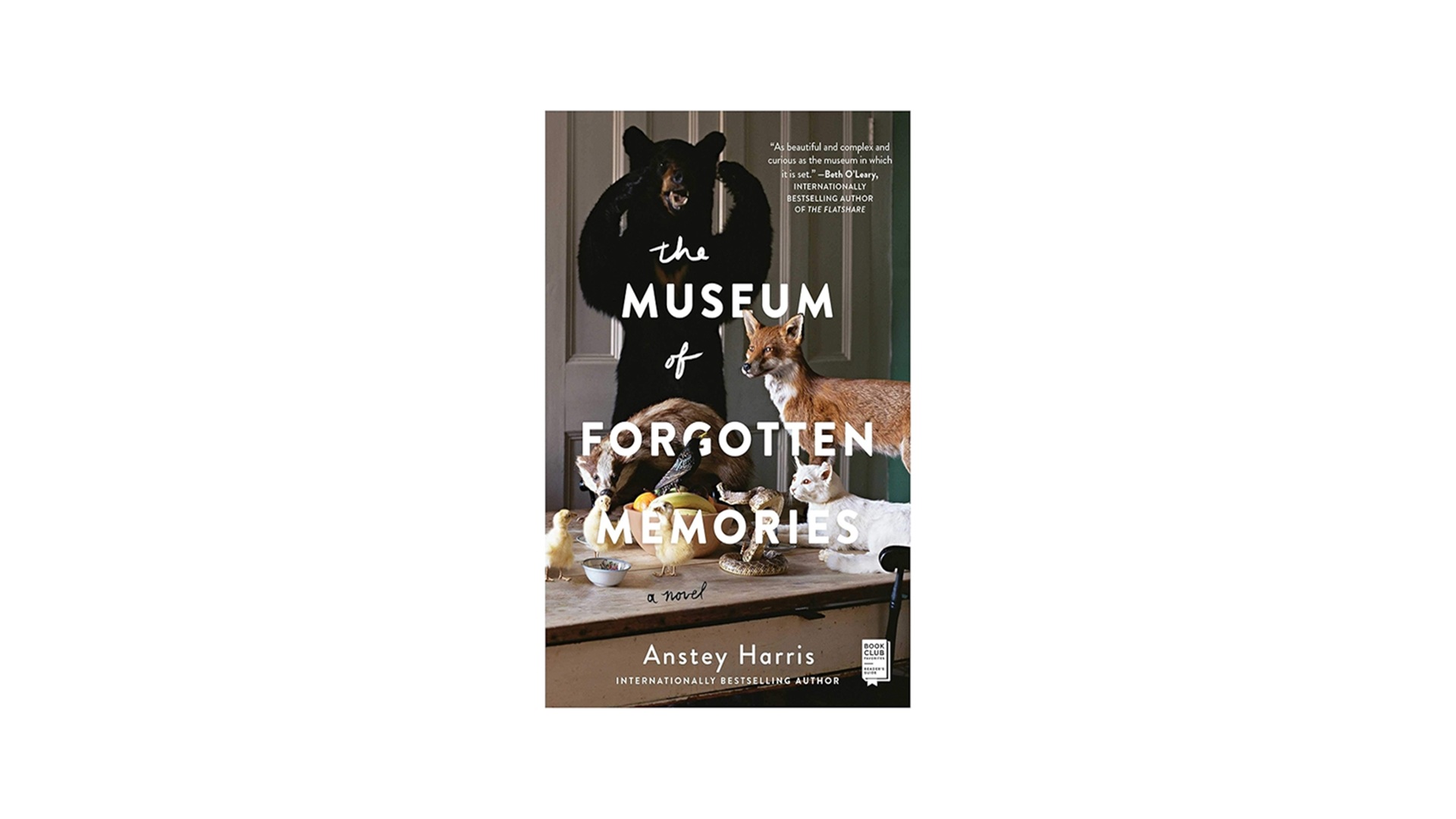 Fiction Book Group at New Braunfels Public Library