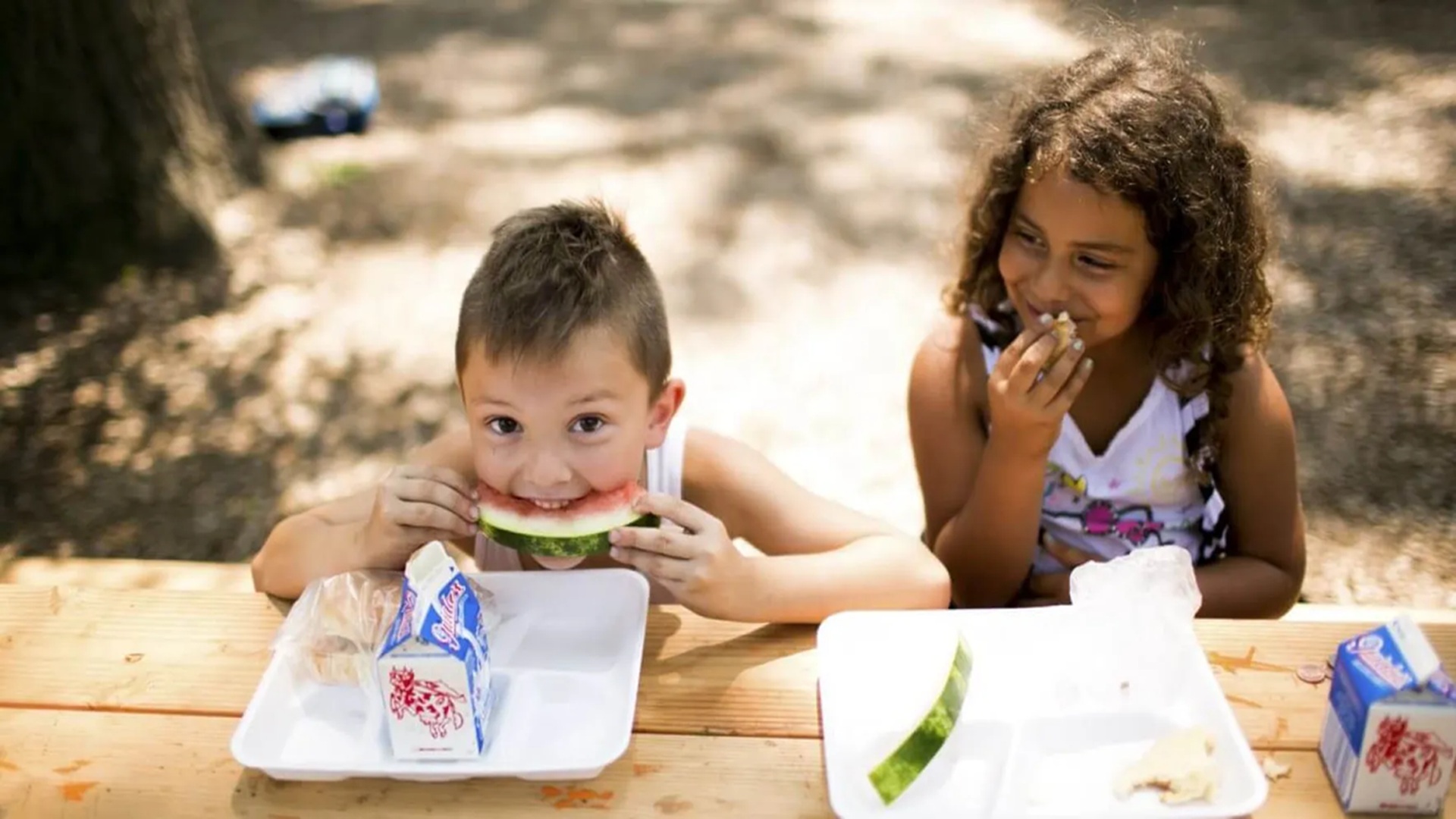 Free Summer Lunches at New Braunfels Public Library
