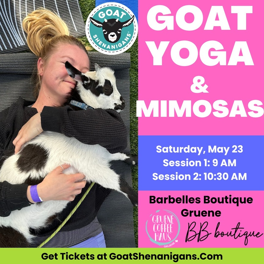Goat Yoga and Mimosas in Gruene at BarBelles Boutique