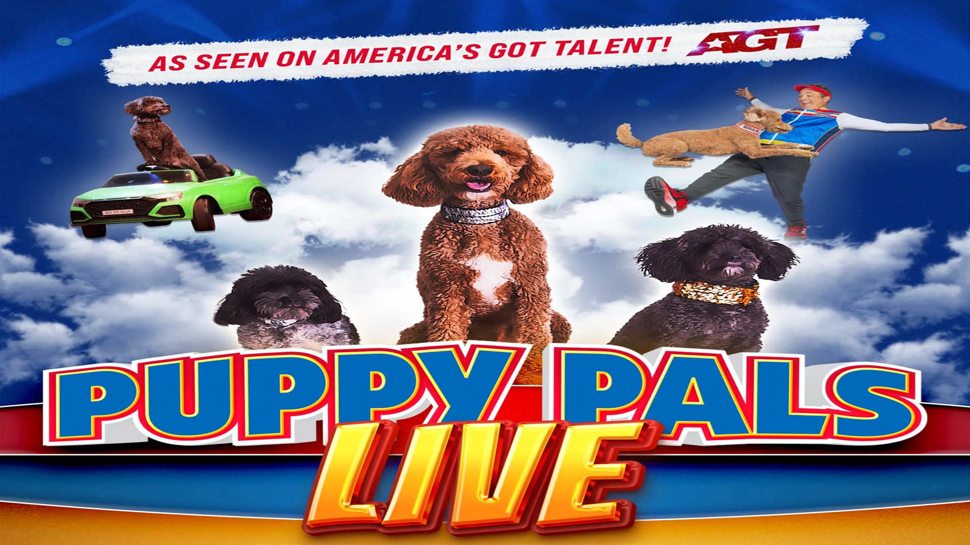 Puppy Pals Live! The Action-Packed Comedic Stunt Dog Show at The Brauntex Performing Arts Theatre
