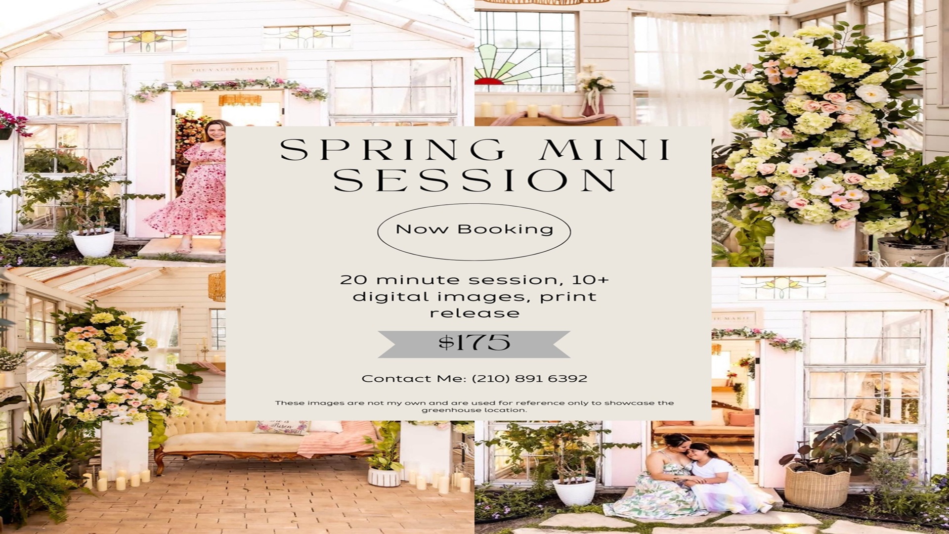 Spring Mini Sessions at The Valerie Marie Greenhouse & Plant Nursery