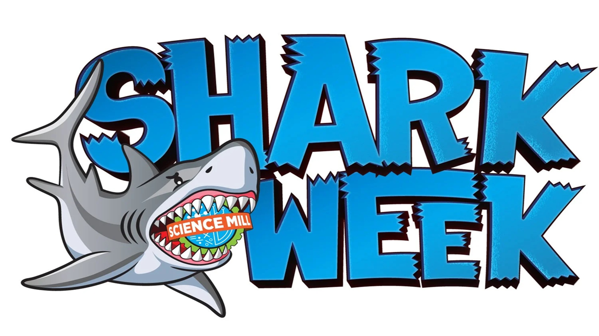 Shark Week at Science Mill