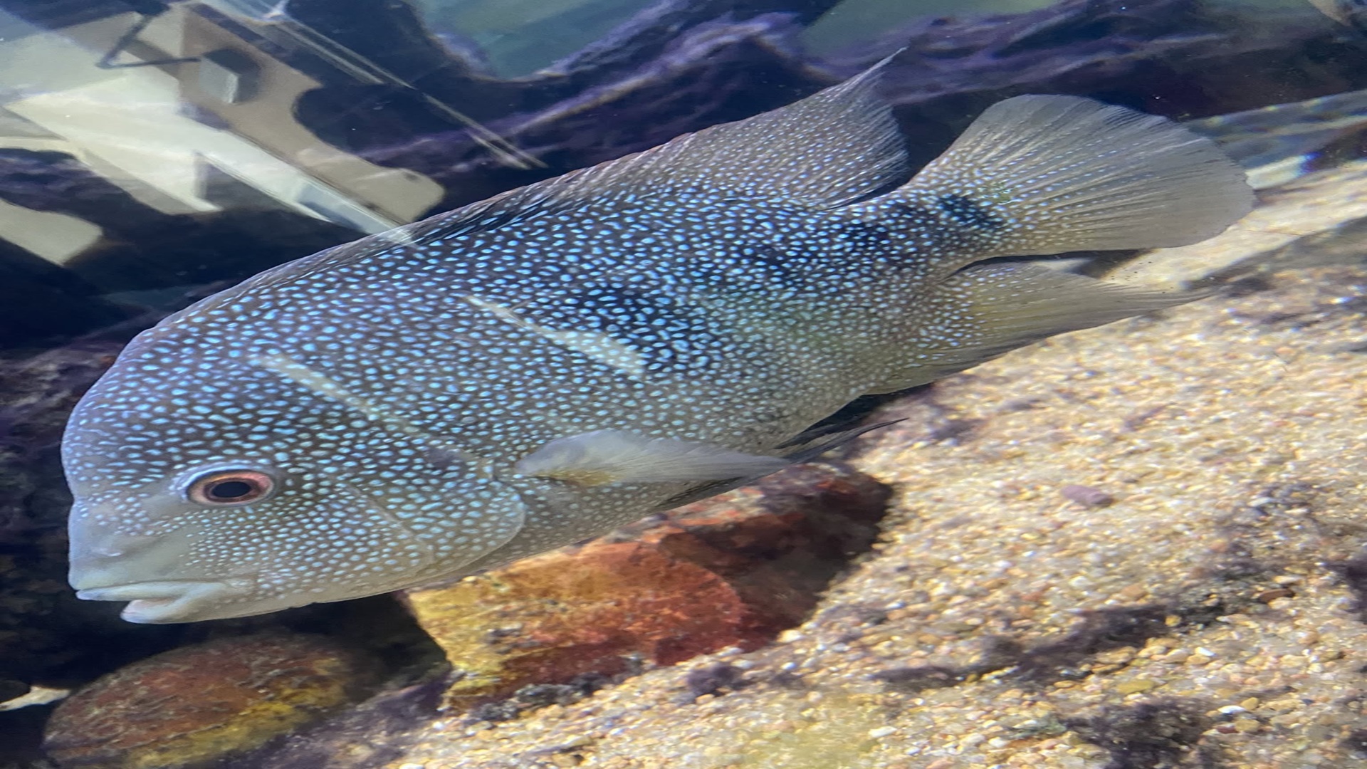 Submerge Yourself in Art Summer Camp for the Littles at Rainbow Trout Laboratory