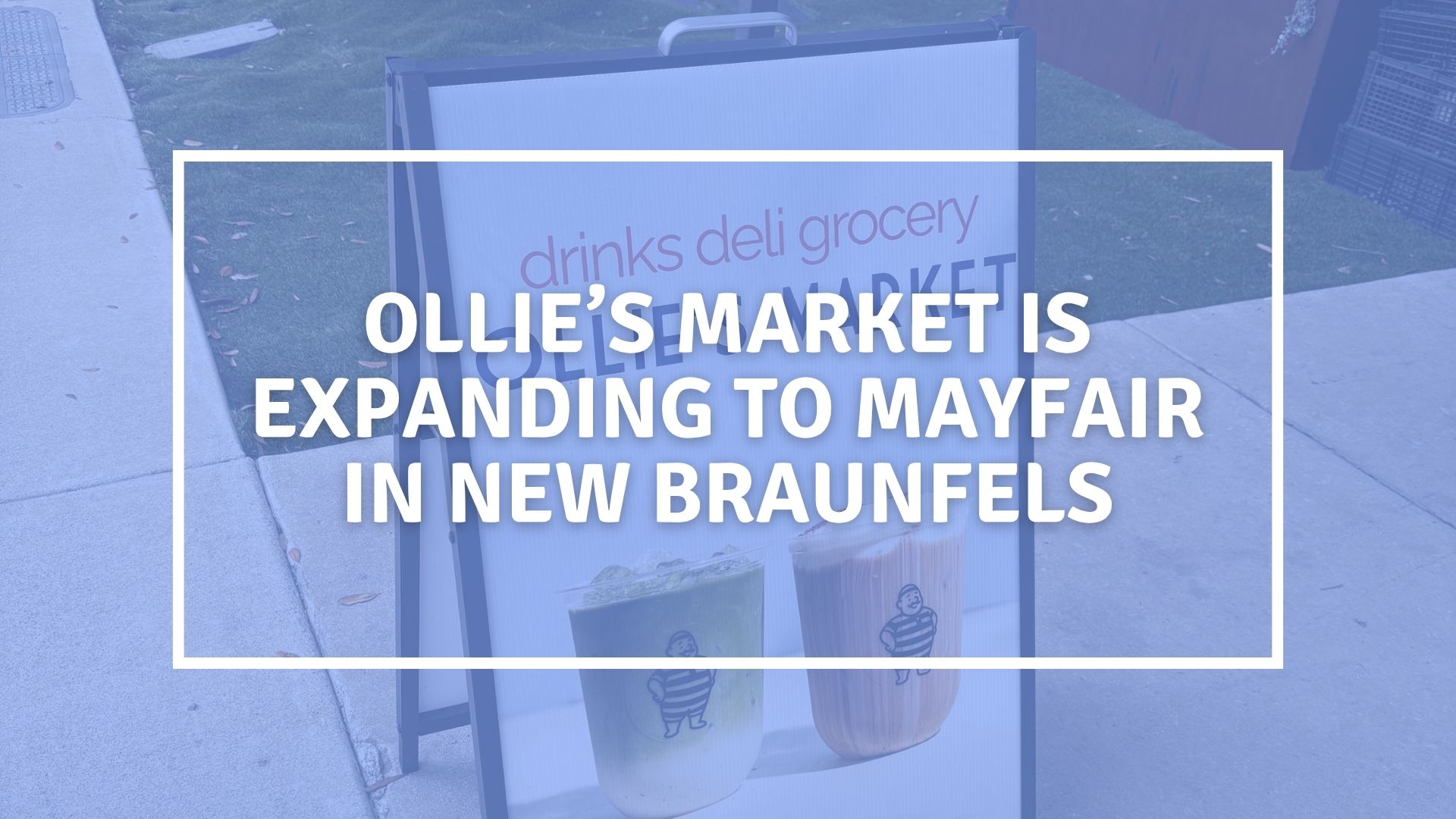 ollie's market new braunfels
