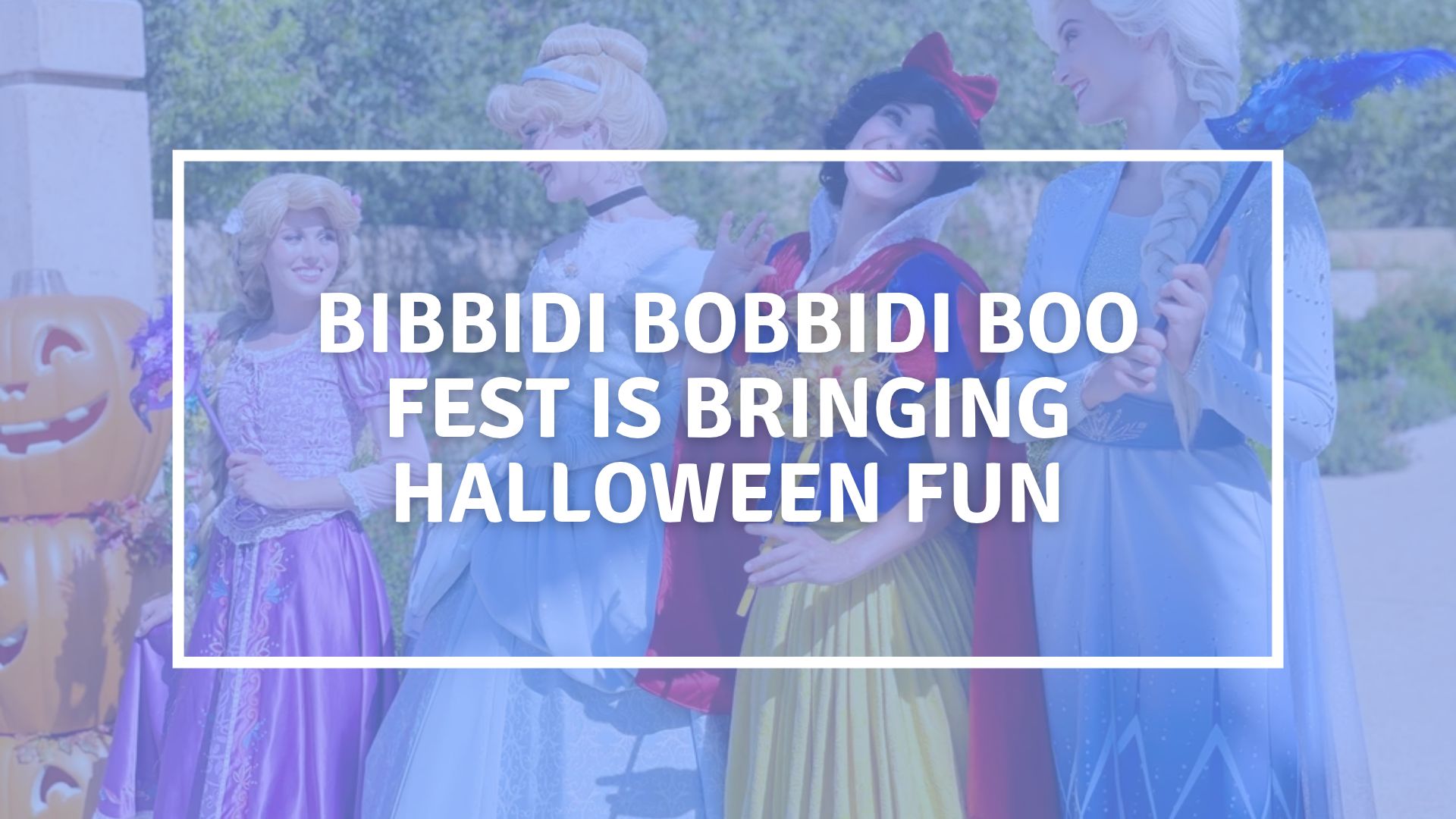 Bibbidi Bobbidi Boo Fest